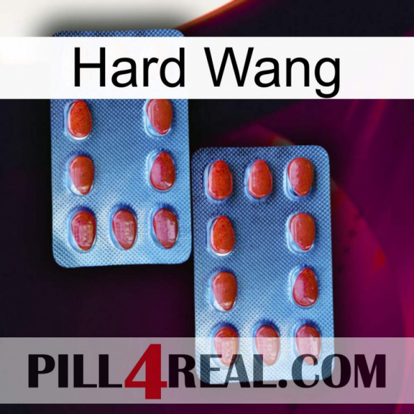 Hard Wang 05.jpg